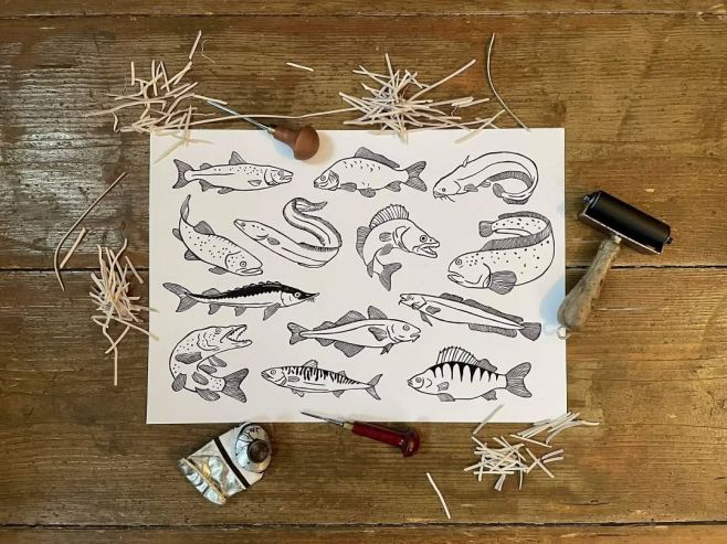 Původně to byla zakázka na objednávku, ale rybářů je u nás víc jak čtvrt milionu! Věděli jste to? Já tedy doteď ne... Je...